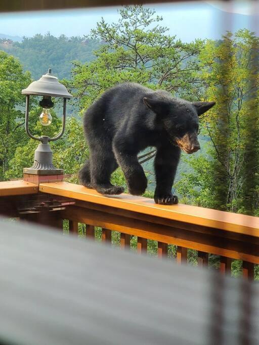 Yogi'S Den: Breathtaking Views! 3 Min To Dollywood, On 1 Acre! Vila Sevierville Exterior foto